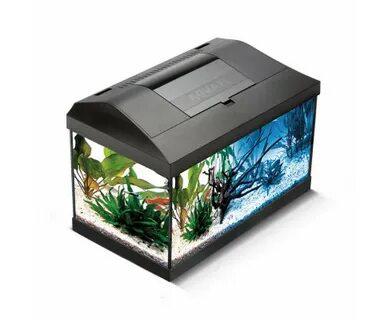 Аквариумы в Магадане