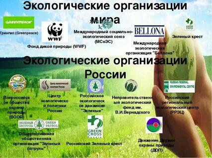 Организации природоохраны в Москве