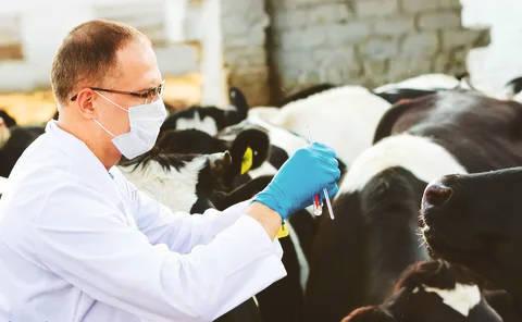 Отделы ветеринарно-санитарного контроля в Москве