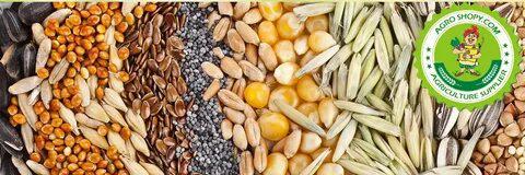 Сельскохозяйственные корма в Магадане