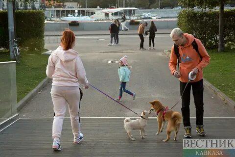 Выгул домашних животных в Москве