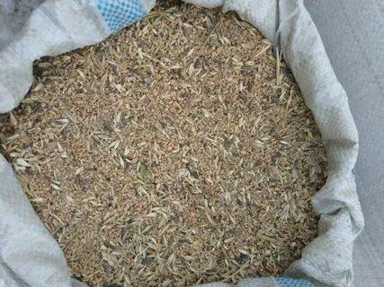 Зерно и зерноотходы в Москве