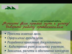 Красноярский лесной девелопмент