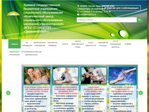 КЦСОН Зеленогорский