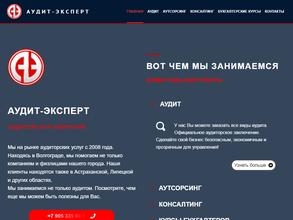 Аудит-эксперт