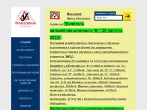 Профессионал