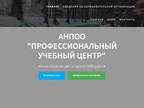 Профессиональный учебный центр