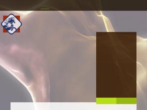 Спортивная школа по конному спорту им. А.А. Магдалина