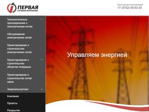 Первая сетевая компания
