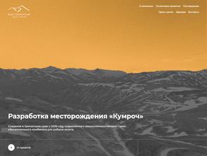 Быстринская горная компания