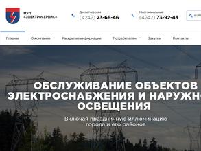 Электросервис