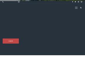Спортивная школа по конному спорту