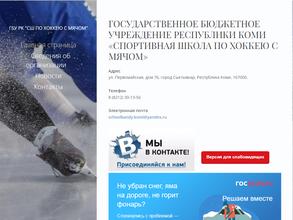 Спортивная школа по хоккею с мячом