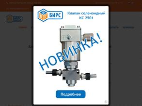 Бирс Арматура