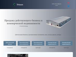 Tritoon