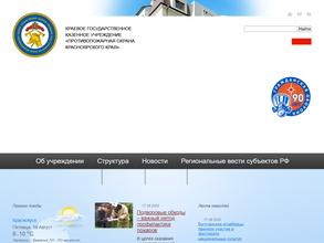 Пожарная часть №243