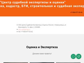 Центр судебной экспертизы и оценки