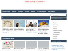 Мордовская региональная общественная организация Отряд правопорядка