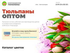 Новгородские тюльпаны