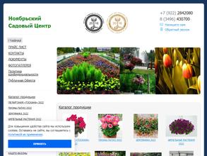 Ноябрьский садовый центр