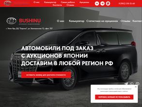 BUSHINUAUTO