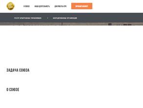 Саморегулируемая организация арбитражных управляющих