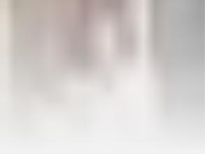 Бабочки Весны