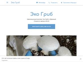 Экогриб