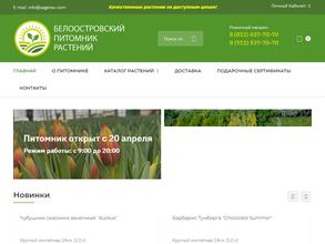 Белоостровский