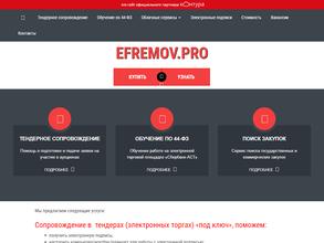 Efremov.pro