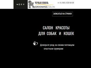 Чёрный пудель