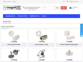 Неодимовый Magnit31