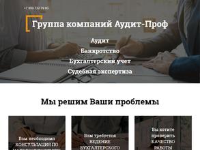Аудит-проф