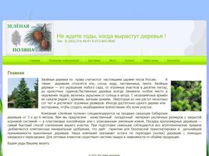 Зеленая поляна