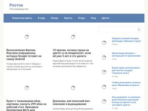 Садовый дворик