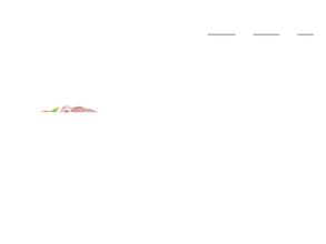 Мясная точка