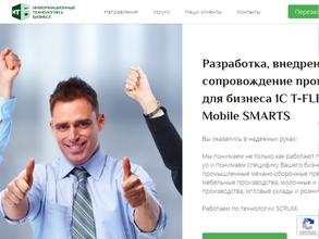 Информационные технологии в бизнесе