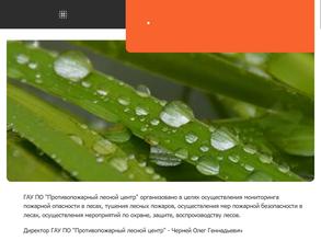 Противопожарный лесной центр