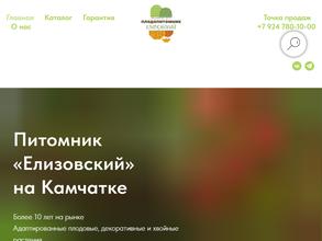 Елизовский