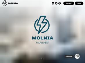 Фулфилмент molnia