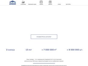 Зенит Черноземье