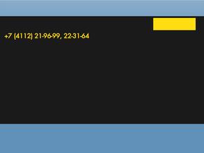 Нерюнгринская мониторинговая компания