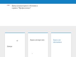 Профессионал