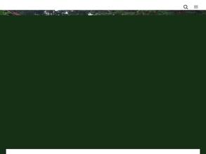 Вербное настроение