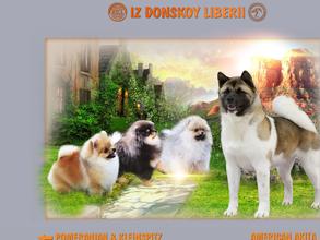 Из Донской Либерии