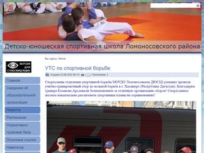 Ломоносовская ДЮСШ