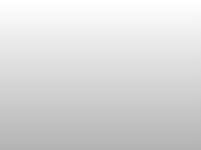 Дальневосточный Талисман