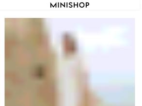 Minishop