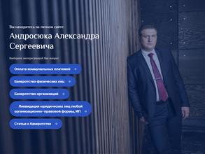 Арбитражный управляющий Андросюк А.С.