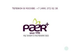 Паер+